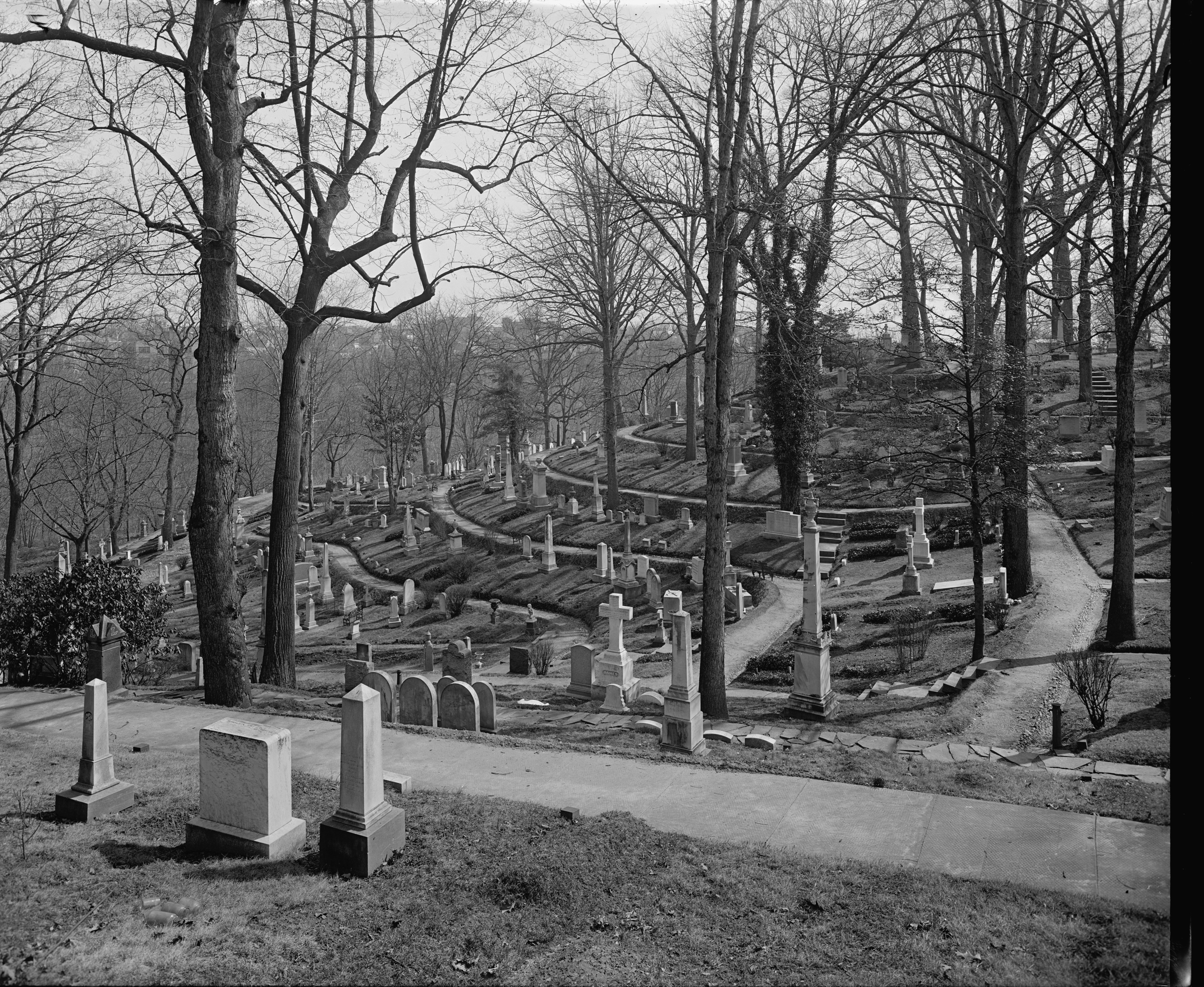A 1920s photograph of Oak Hill Cemetery in Georgetown: bare trees, terraces of headstones and curving paths.
